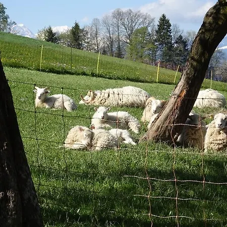 Hébergement de vacances Roesis B&B