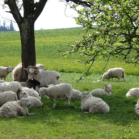 Hébergement de vacances Roesis B&B Oberhunigen